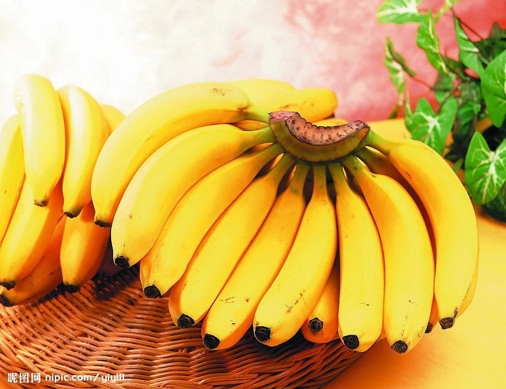 香蕉摄影图__水果_生物世界_摄影图库_昵图网nipic.com